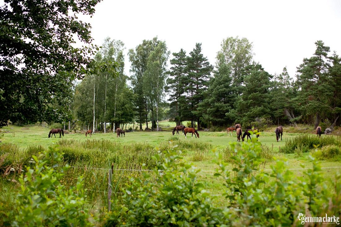 gemmaclarkephotography_summer-cottage-finland-family-portraits_0004