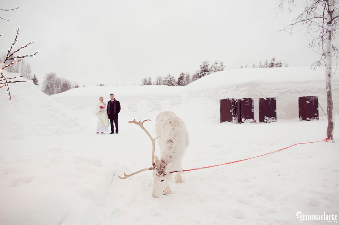 gemmaclarkephotography_winter-wedding-in-lapland-finland_jaana-and-tuomas_0022