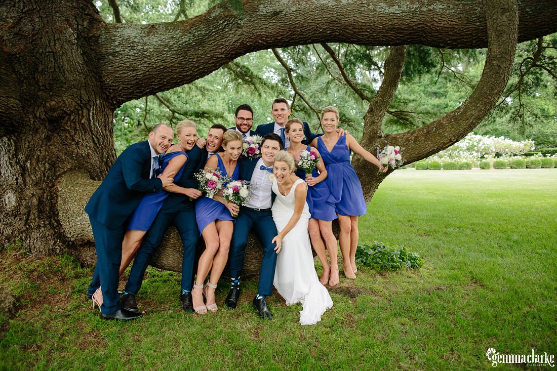 A bridal party sitting on a low branch of a very large tree - Book Barn Wedding
