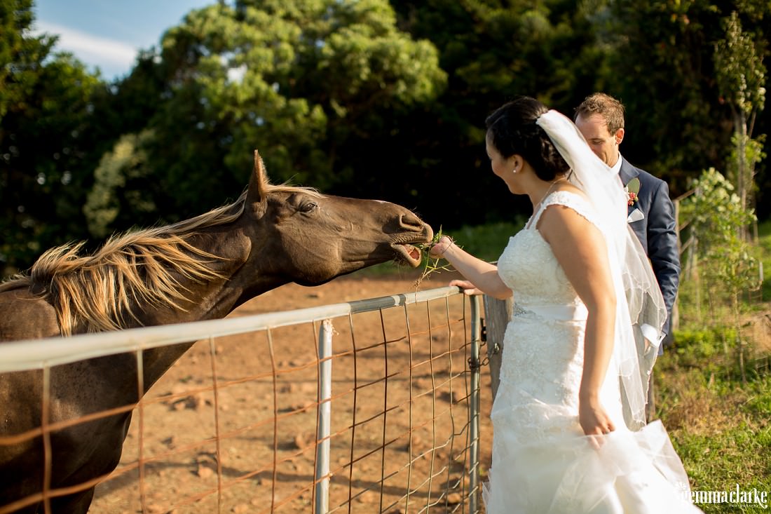 gemma-clarke-photography_kiama-wedding_saddleback-mountain-photos_fiona-and-matt_0067