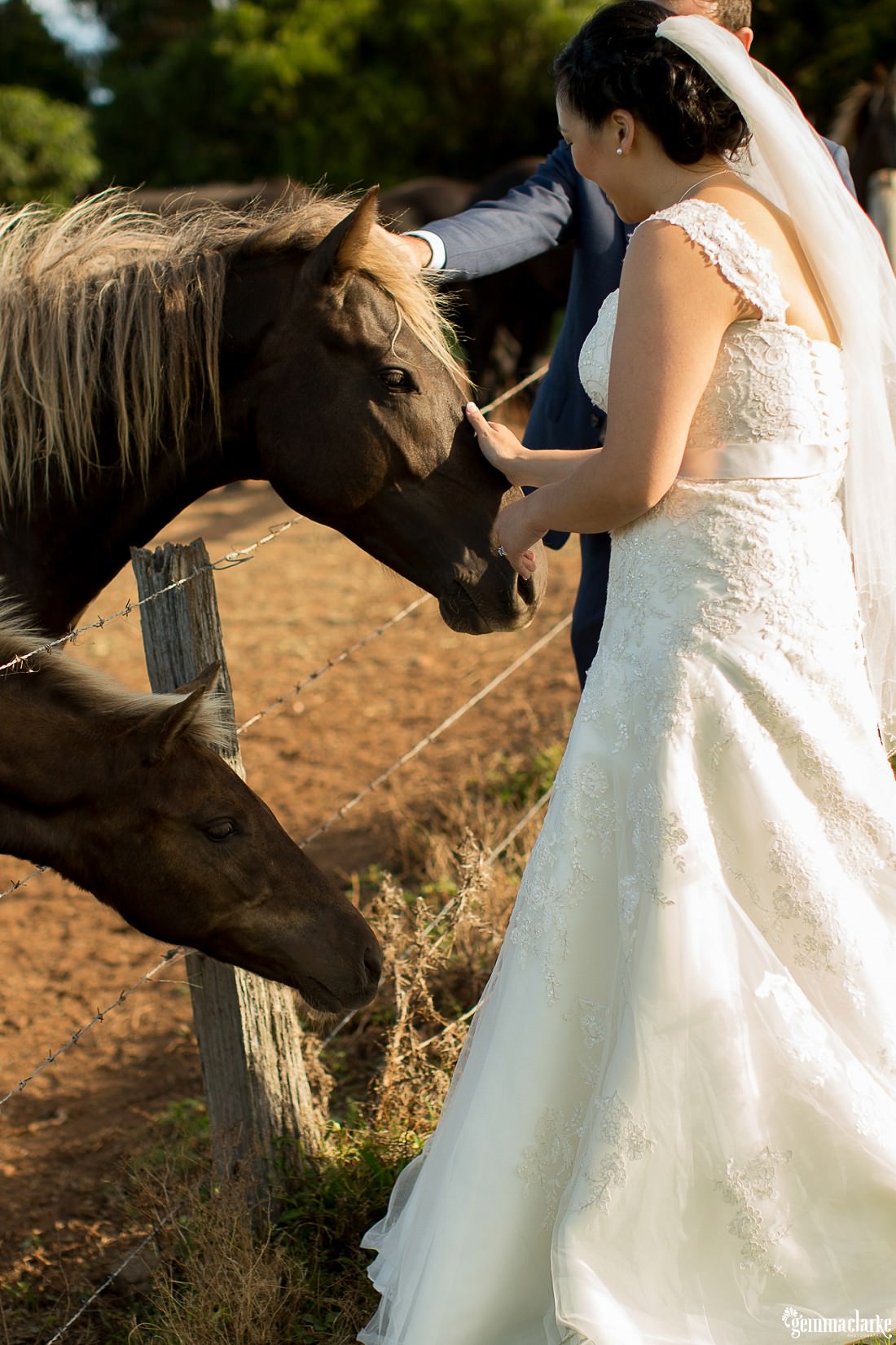 gemma-clarke-photography_kiama-wedding_saddleback-mountain-photos_fiona-and-matt_0068
