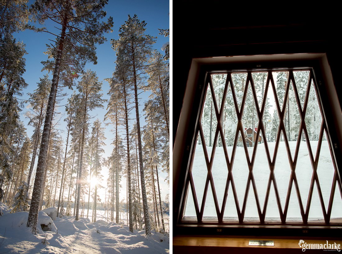 Sun shining through snowy trees, and a view of a house in a snowy forest through a window