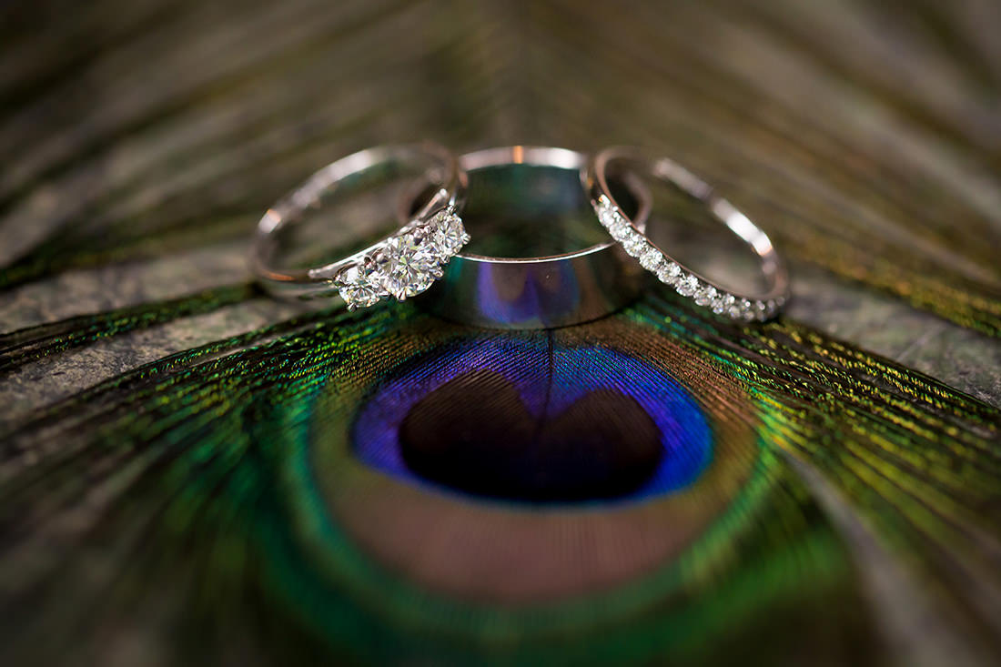 White Gold Wedding Rings on a Peacock feather