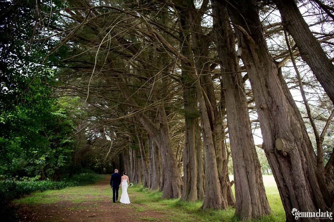 A bride and groom holding hands and walking along next to some very large trees