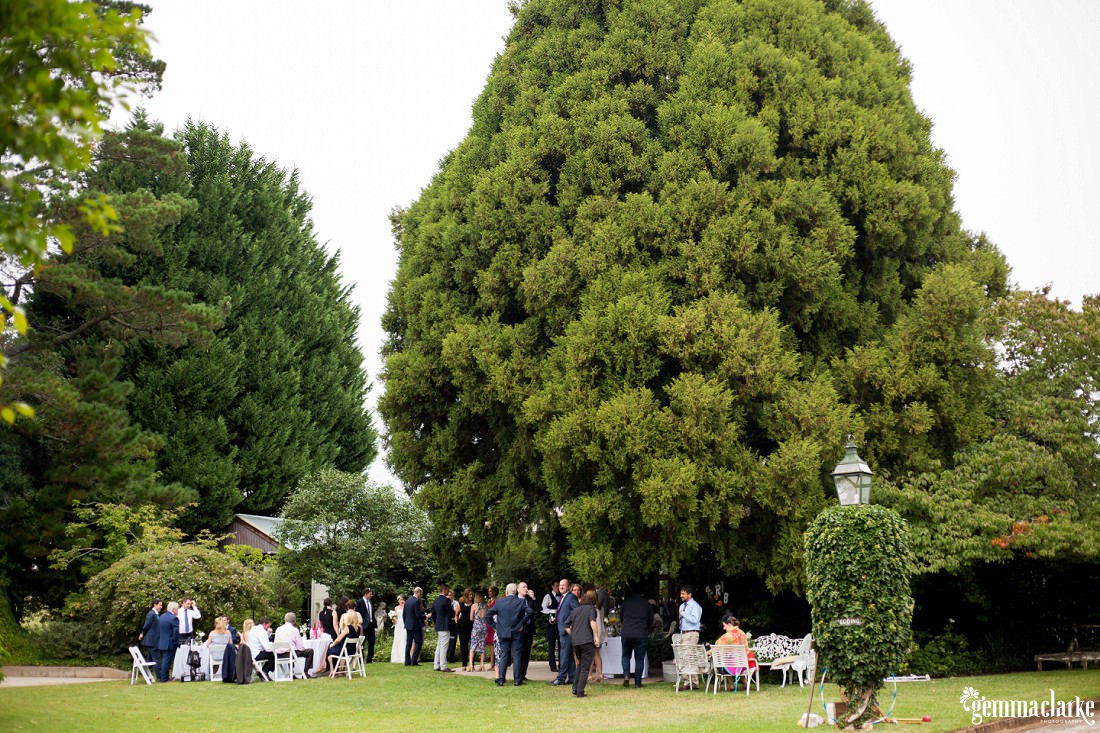 Wedding guests mingle on the grounds at Summerlees
