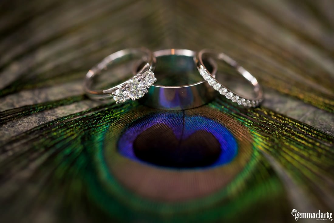 A bride and groom's rings sitting atop a peacock feather