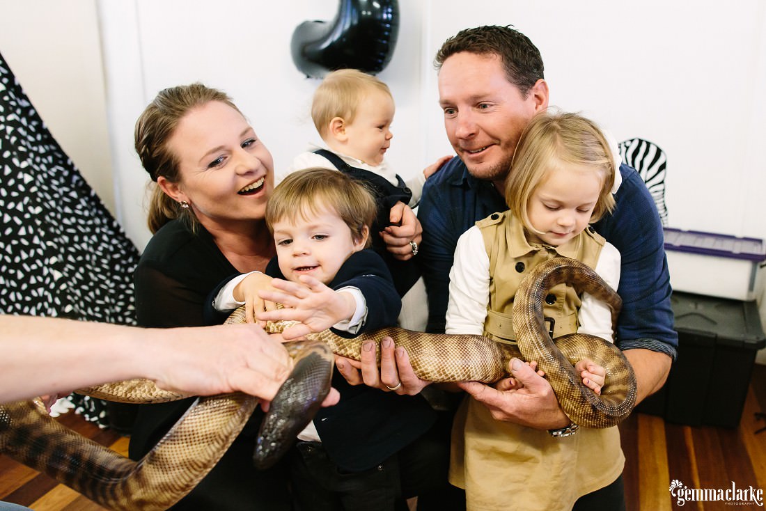 A close family photo of three young kids and parents with a giant snake, everyone is trying to hold it and it is bedlam!