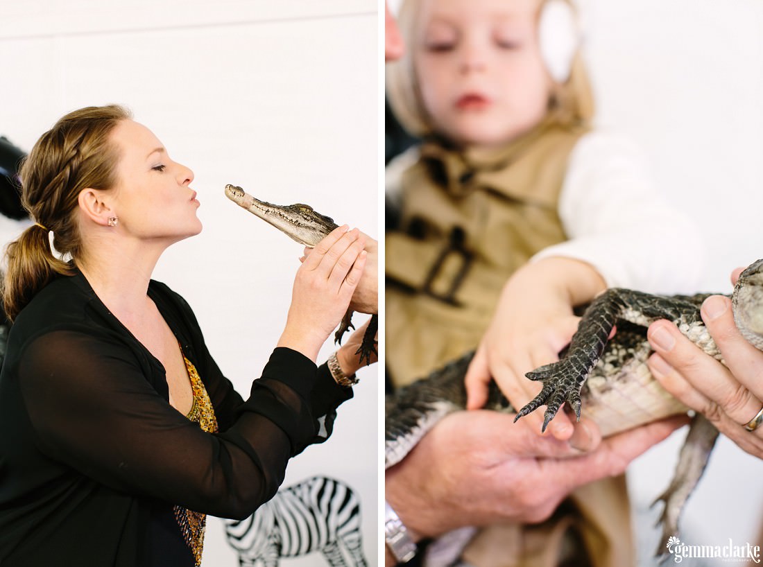 An adult female attempting to kiss a baby crocodile