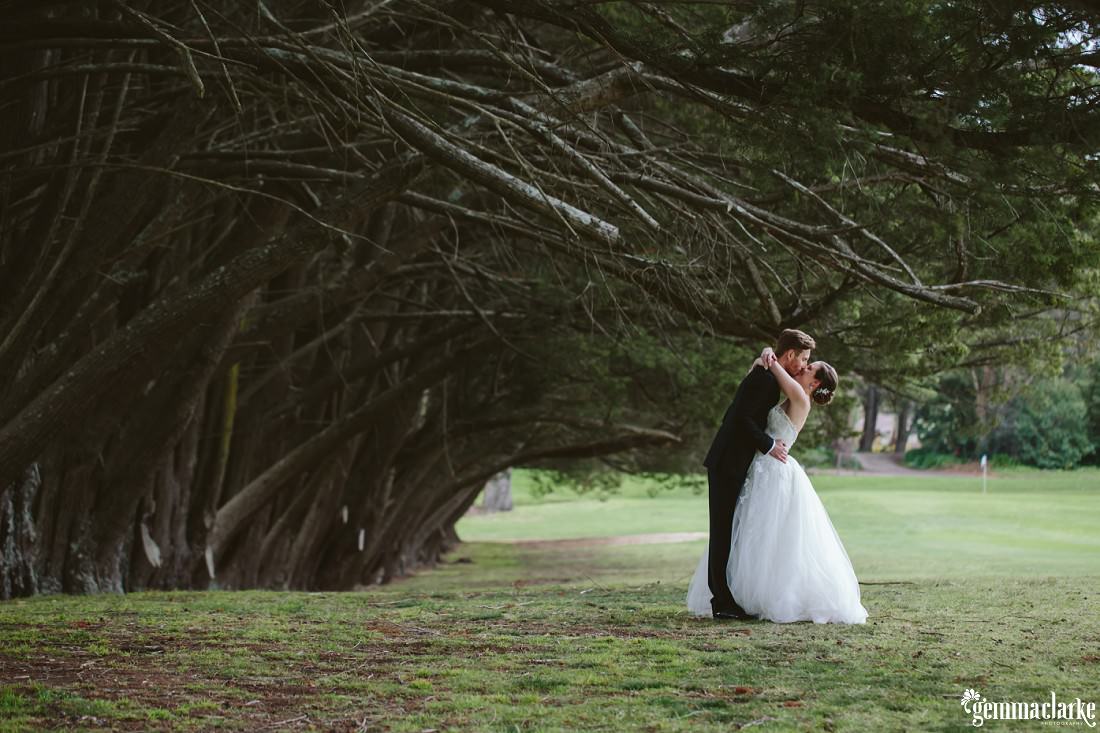 A bride and groom kissing beneath some large trees