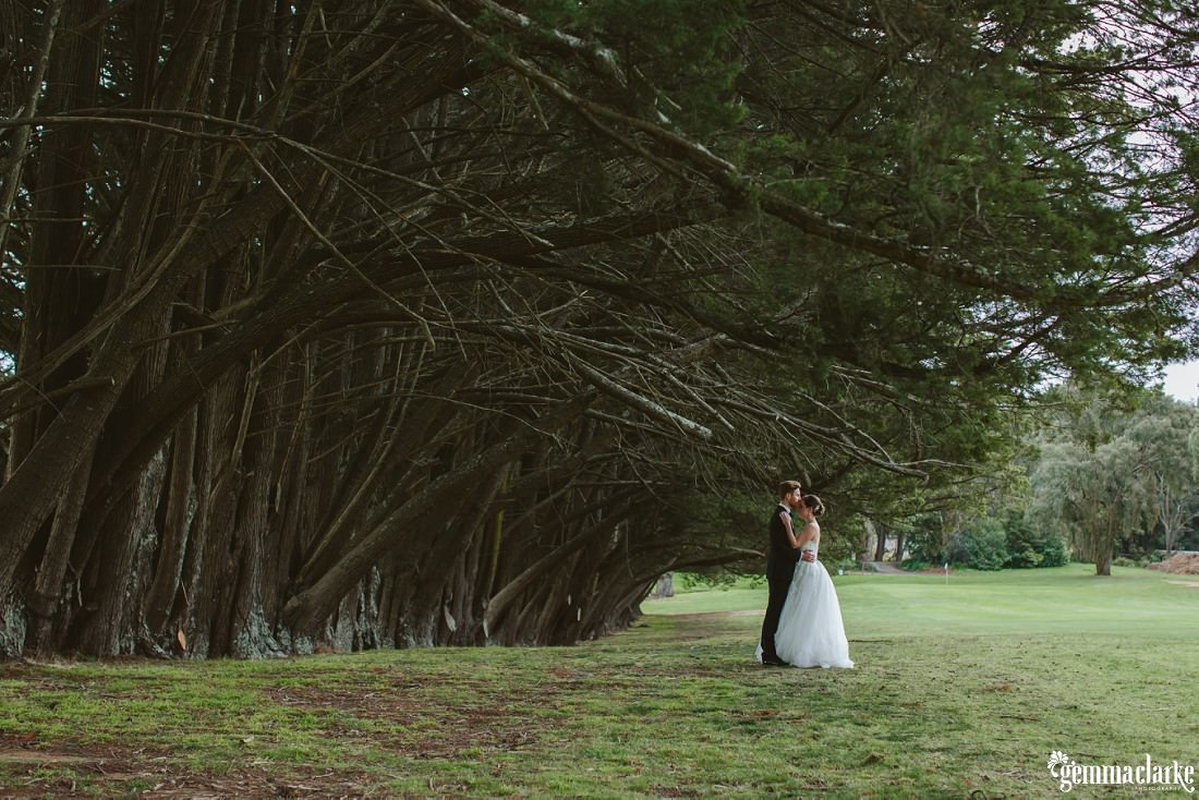 A bride and groom embrace beneath some large trees