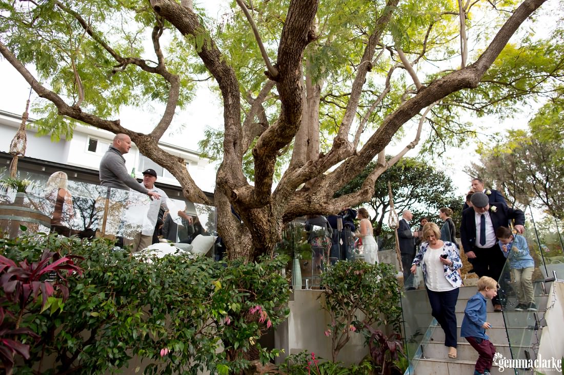 Wedding guests mingling under a large tree