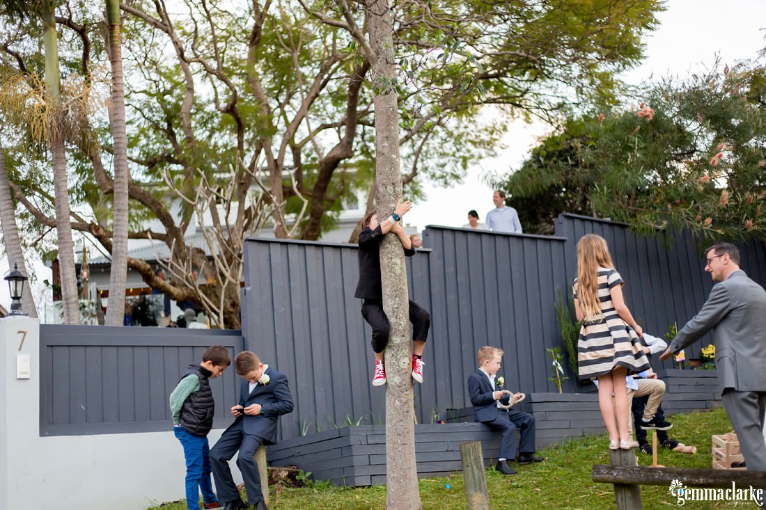 A young girl climbing a tree and other young wedding guests hanging out at a wedding reception