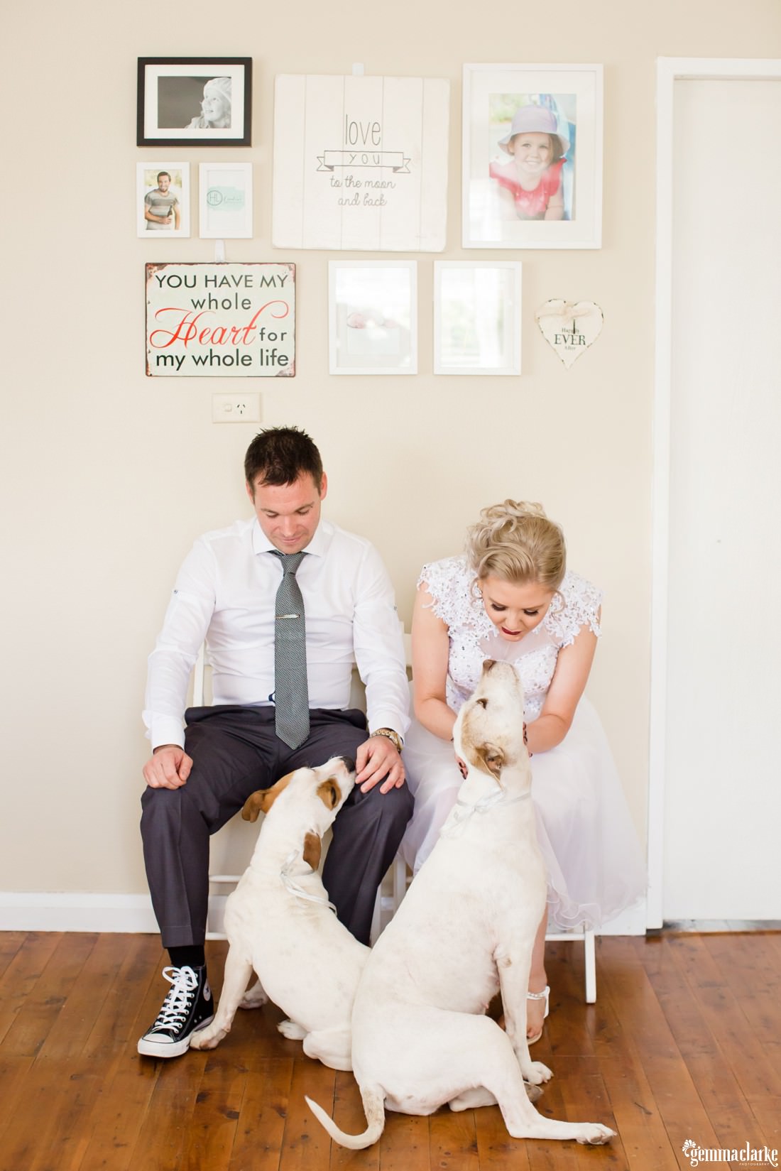 A bride and groom sitting with their dogs before their wedding