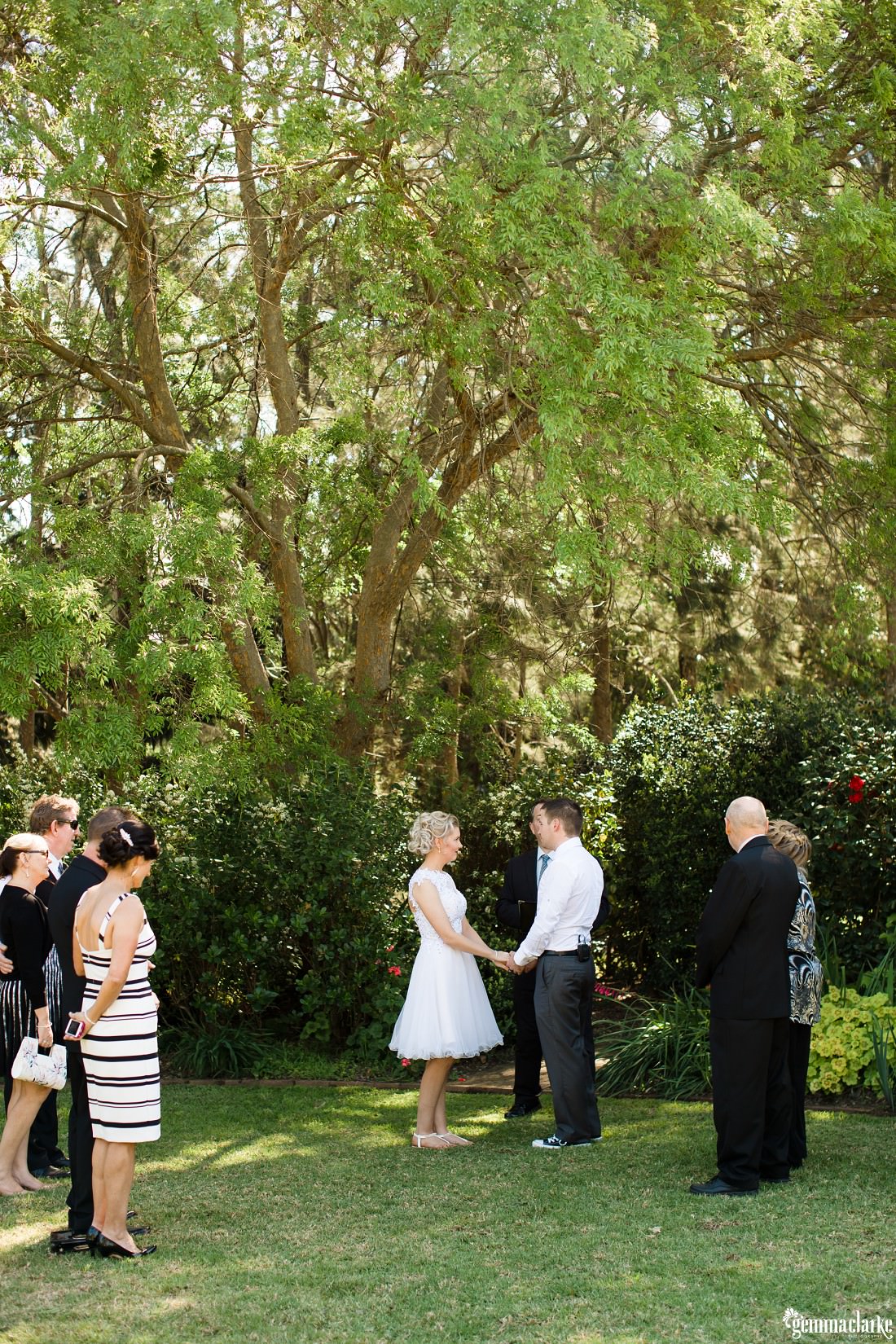 An intimate wedding ceremony in progress under a large tree