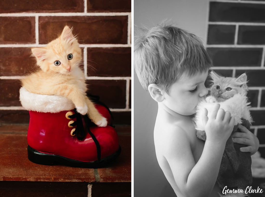 Kitten in a Christmas Stocking with a young boy and also in a little santa boot at this Christma shoot