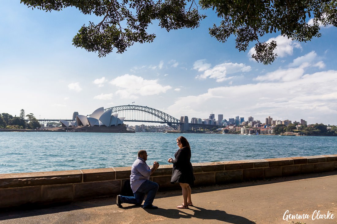 Down on one knee an excited boyfriend proposes to his girlfriend on Sydney Harbour in front of the Opera House and underneath an overhanging canopy of a big tree at this surprise proposal