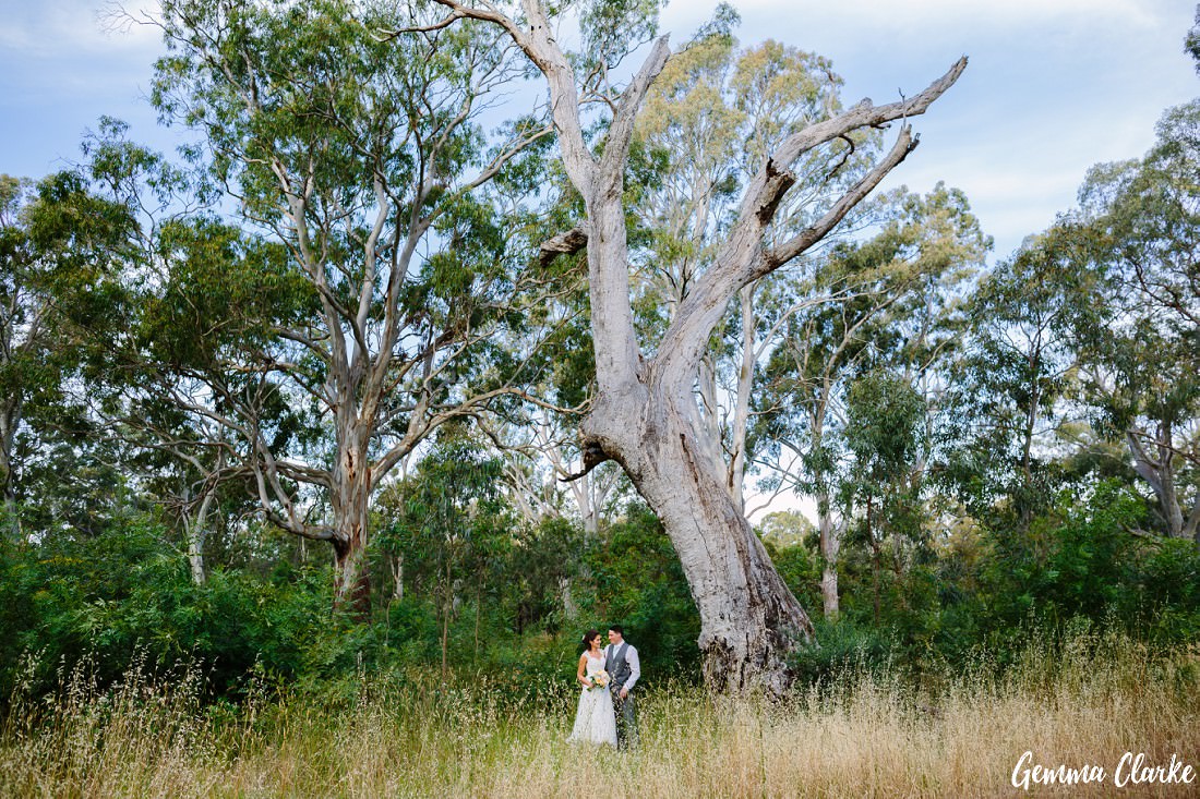 Bride and Groom under a huge tree in the Belair Park National Park and amongst long grass at this Belair Park Wedding