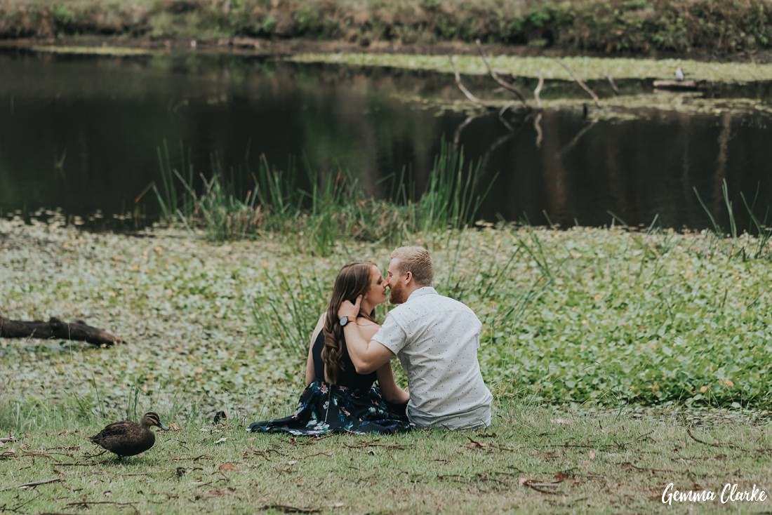 Photobombing ducks by the riverside while the couple kiss in these Sydney engagement photos